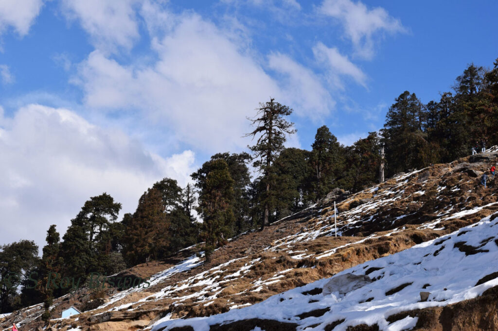 Chopta Tour Package