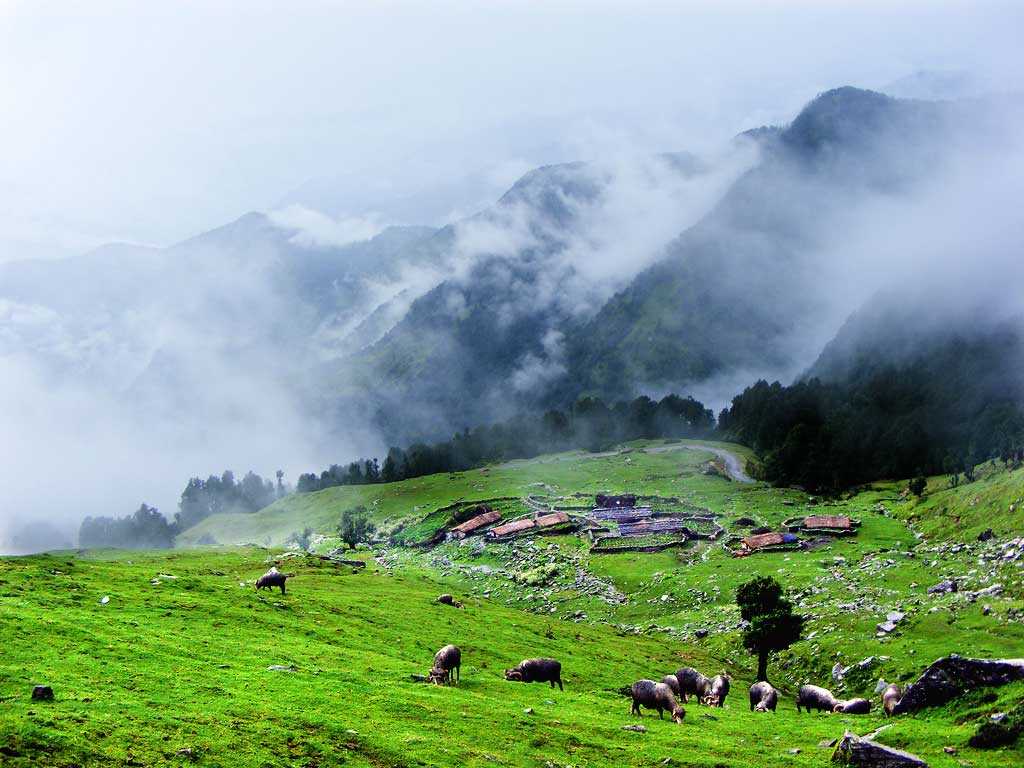 Himalayan Treks Chopta - Chopta Tour package