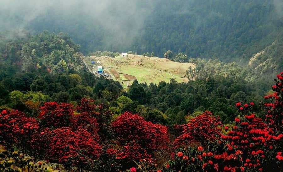 Chopta Offbeat Destinations