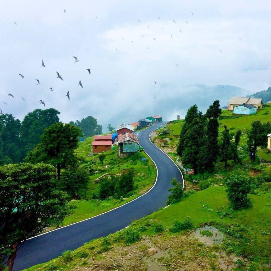 Chopta Tour Packages For 2024