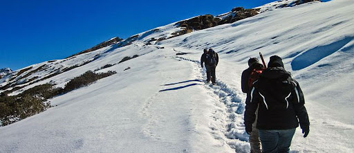 Chopta Tour Package From Haridwar