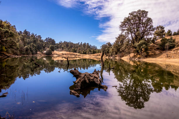 How to Reach Chopta: A Guide to the Himalayan Gem