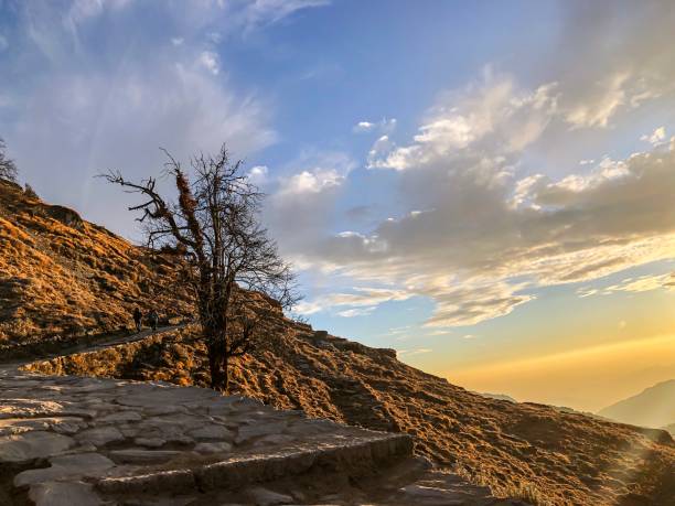 Chopta Weather: Your Guide to the Best Time for an Unforgettable Adventure in Uttarakhand