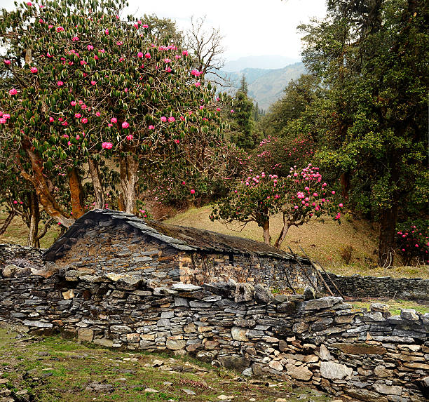 Discovering Tungnath Mandir: A Spiritual and Adventurous Journey