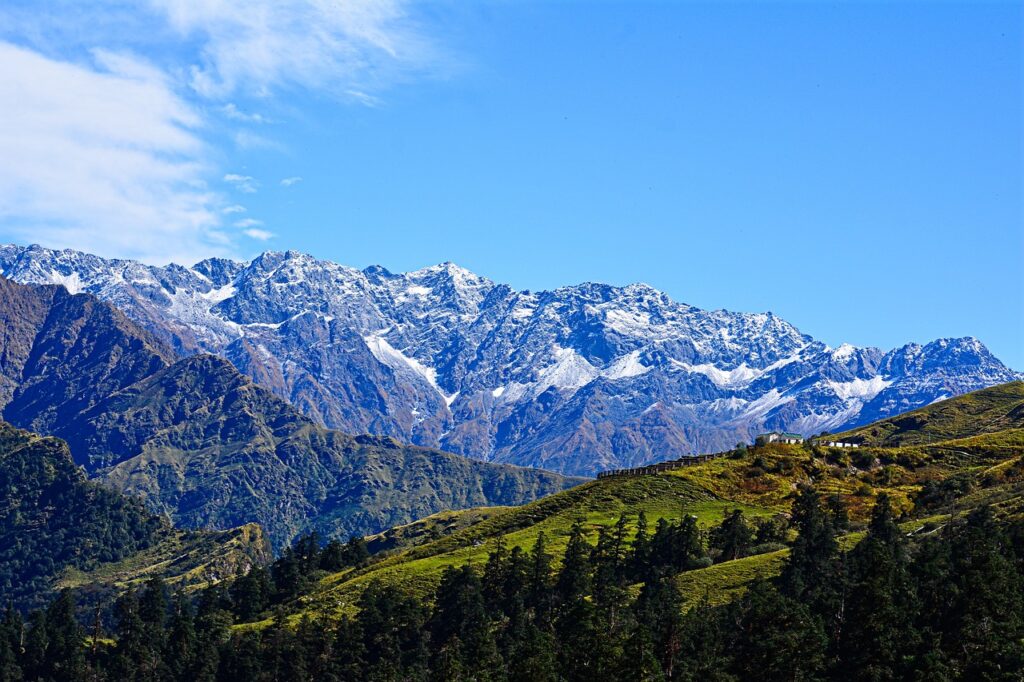 Exploring the Scenic Beauty of Chopta Uttarakhand From Delhi – A Complete Traveler’s Guide