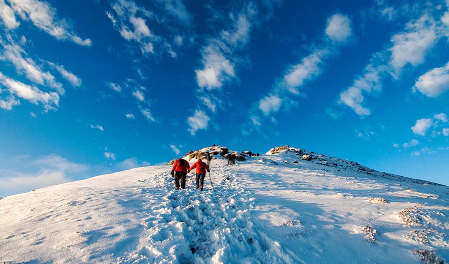 Chandrashila Trek: A Complete Guide to Adventure in Chopta