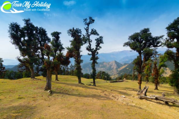 Chopta Tour Package