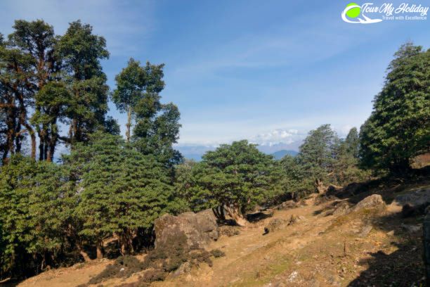 Chopta Tour Package