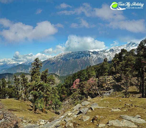 Chopta Tour Package