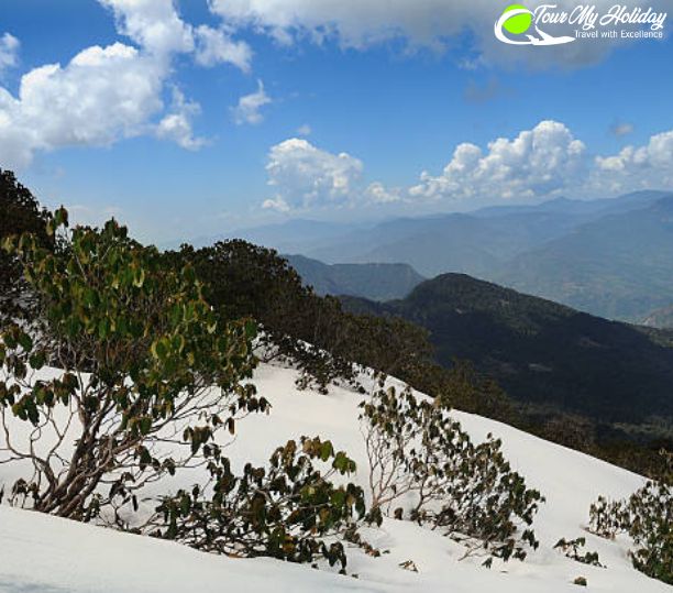 Chopta Tour Package