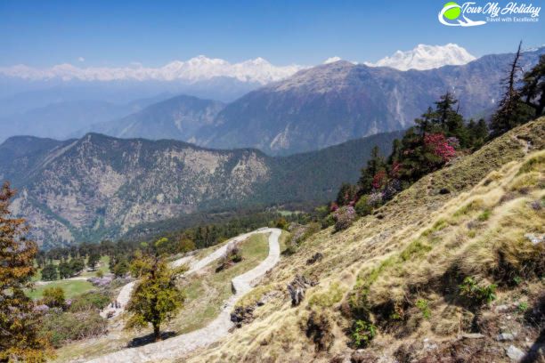 Chopta Tour Package