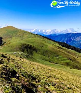 Chopta Trekking Tour Packages
