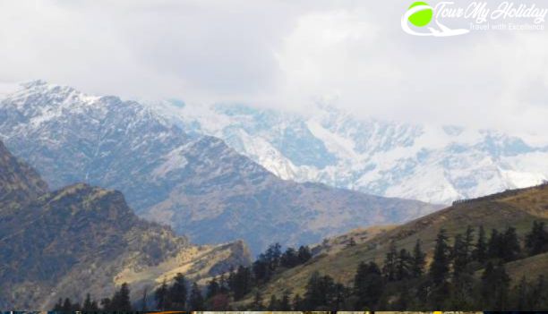 Chopta Tour Package