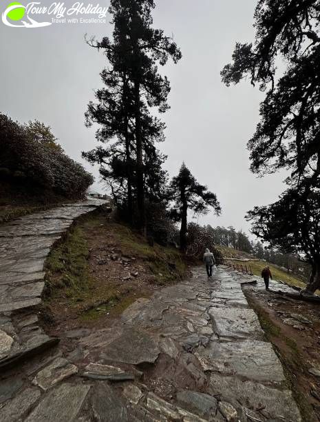 Chopta Tour Package