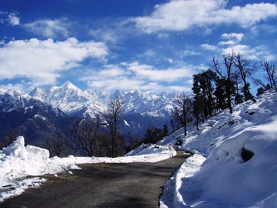 Plan Your Tungnath Chandrashila Trek from Delhi: Route, Itinerary, and Tips