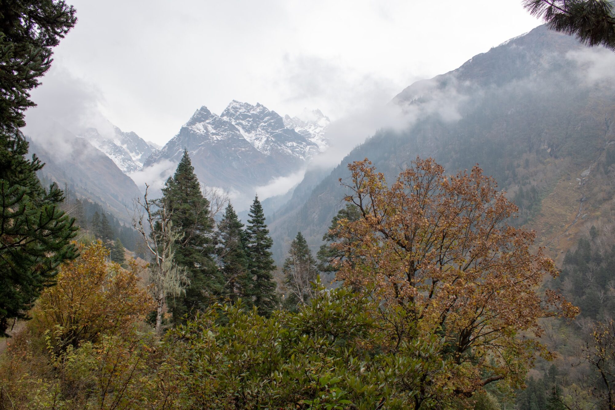 Explore Chopta Tour Package with Tungnath Temple Trekking