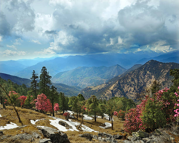 Experience the best of the Himalayas with our Chopta Chandrashila tour packages.