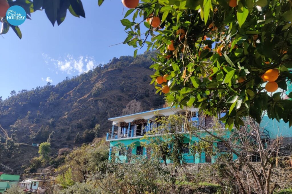 Chopta Tungnath Trek from Delhi