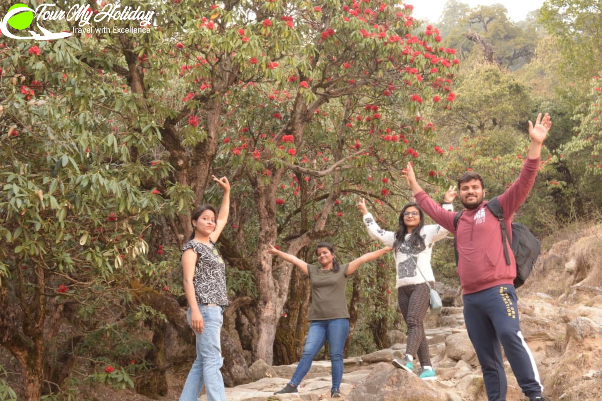 Chopta Tour Packages