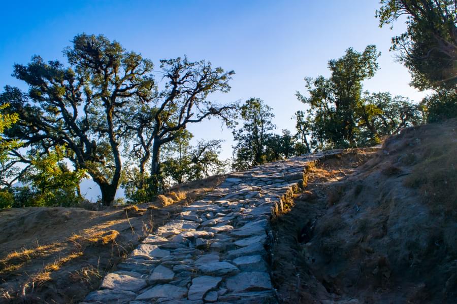 chopta tour package