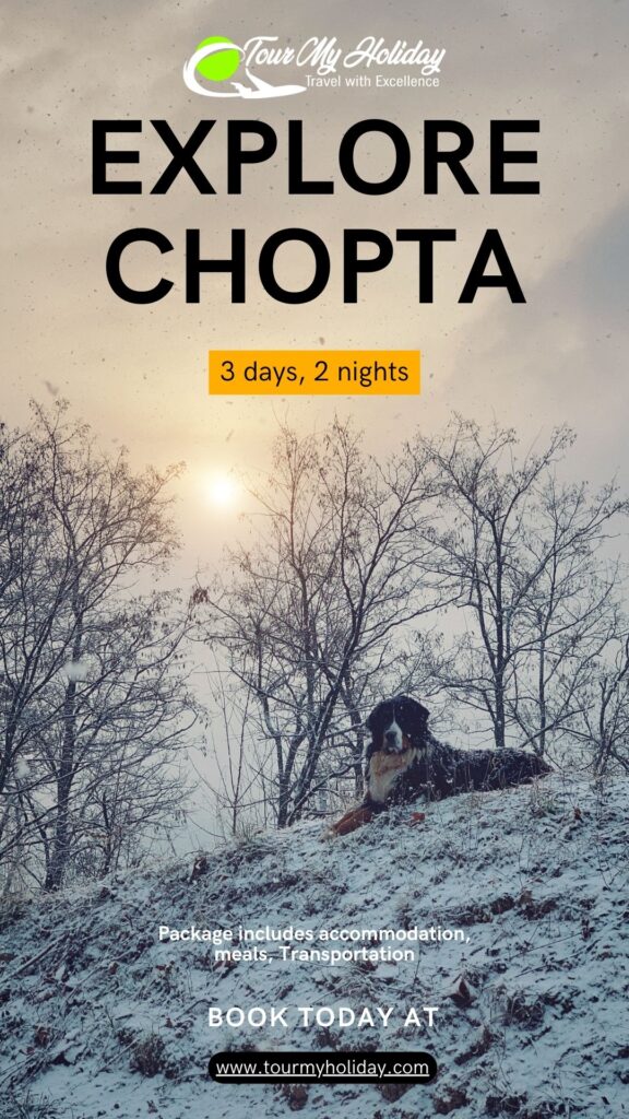 chopta tour package