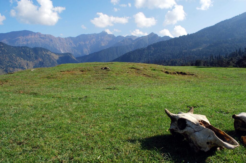 chopta tour package
