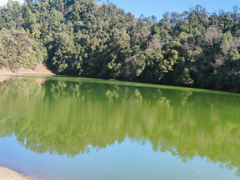 chopta tour package