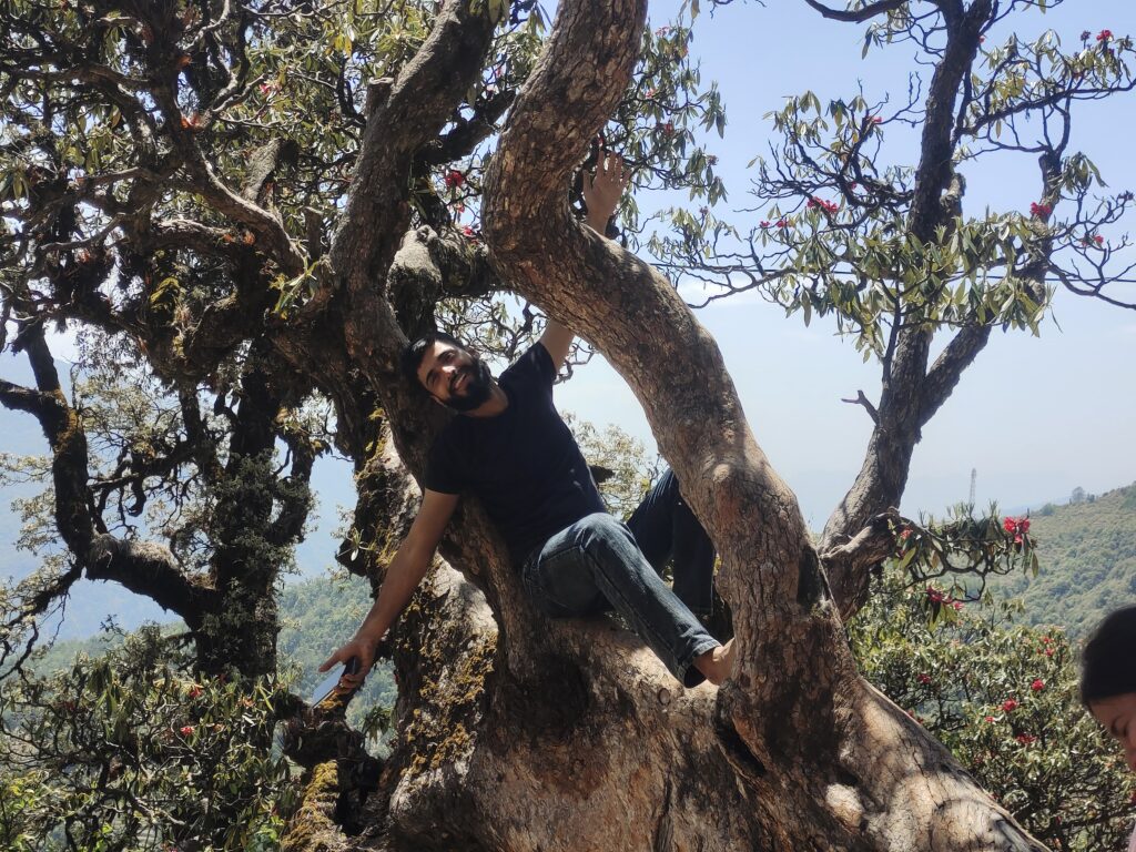 Chopta tour packages