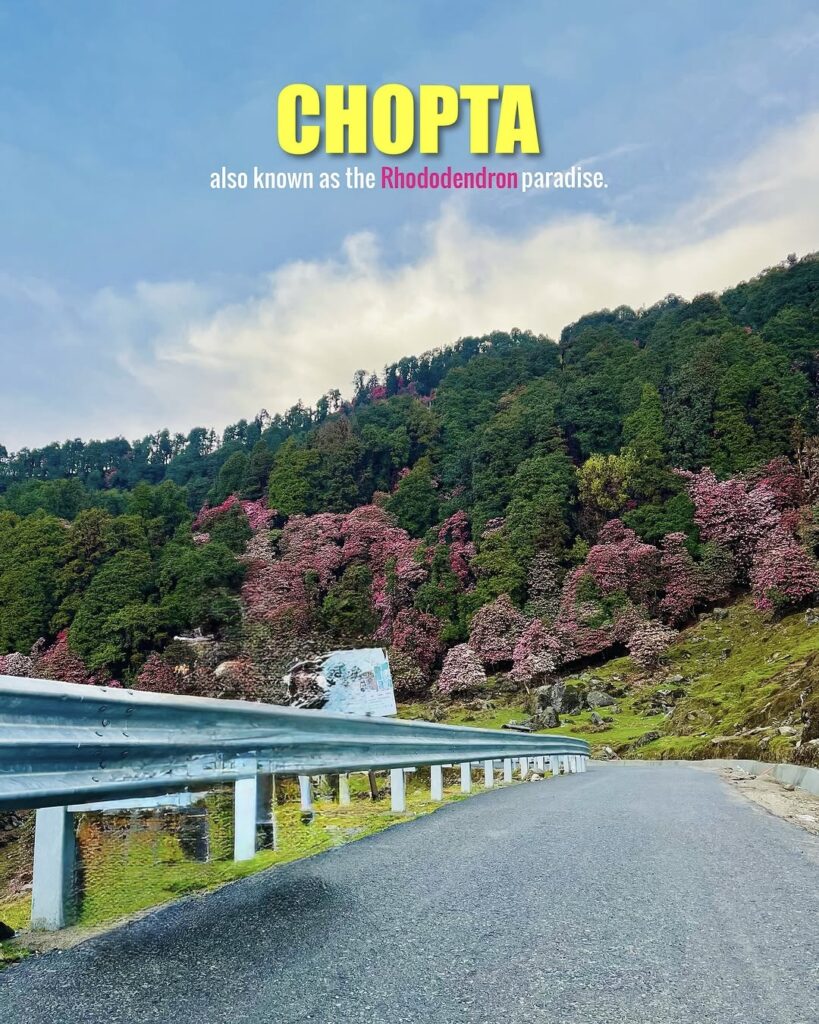 chopta tungnath trek
