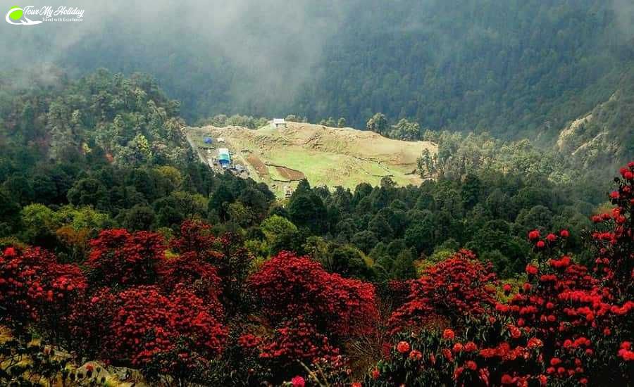 chopta tour package from delhi