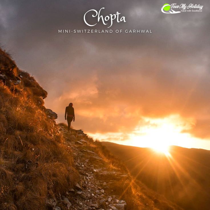 chopta tour packages