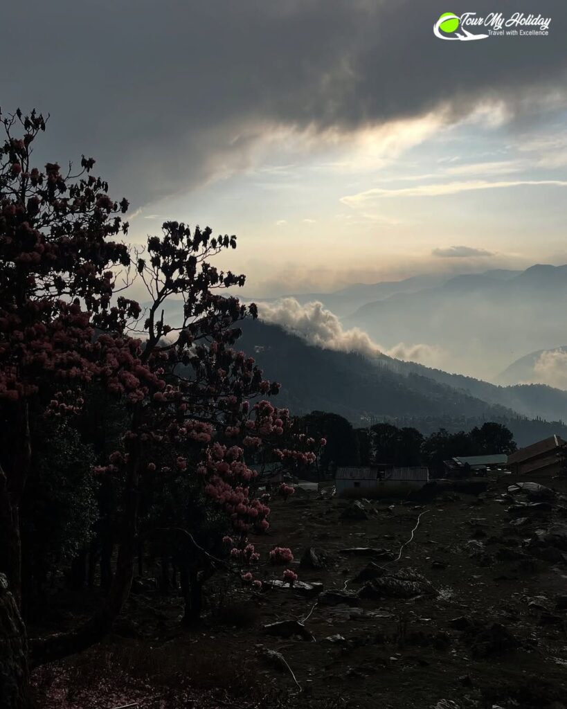 chopta tungnath trek from delhi