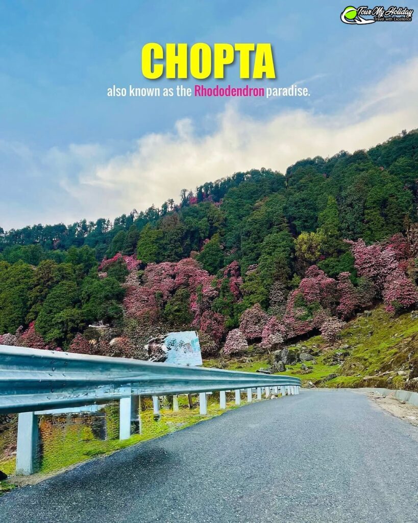 chopta chandrashila tungnath trek