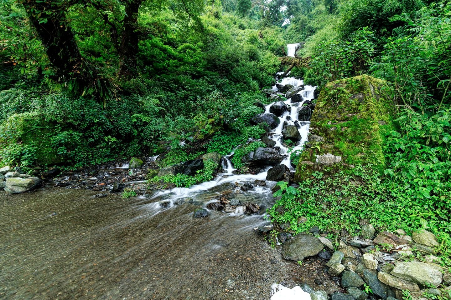 Chopta Tour Package