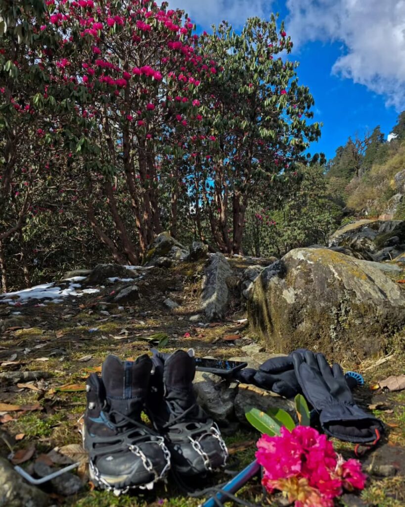 chopta tungnath trek