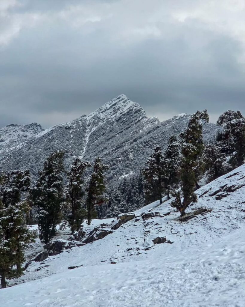 chopta tour package