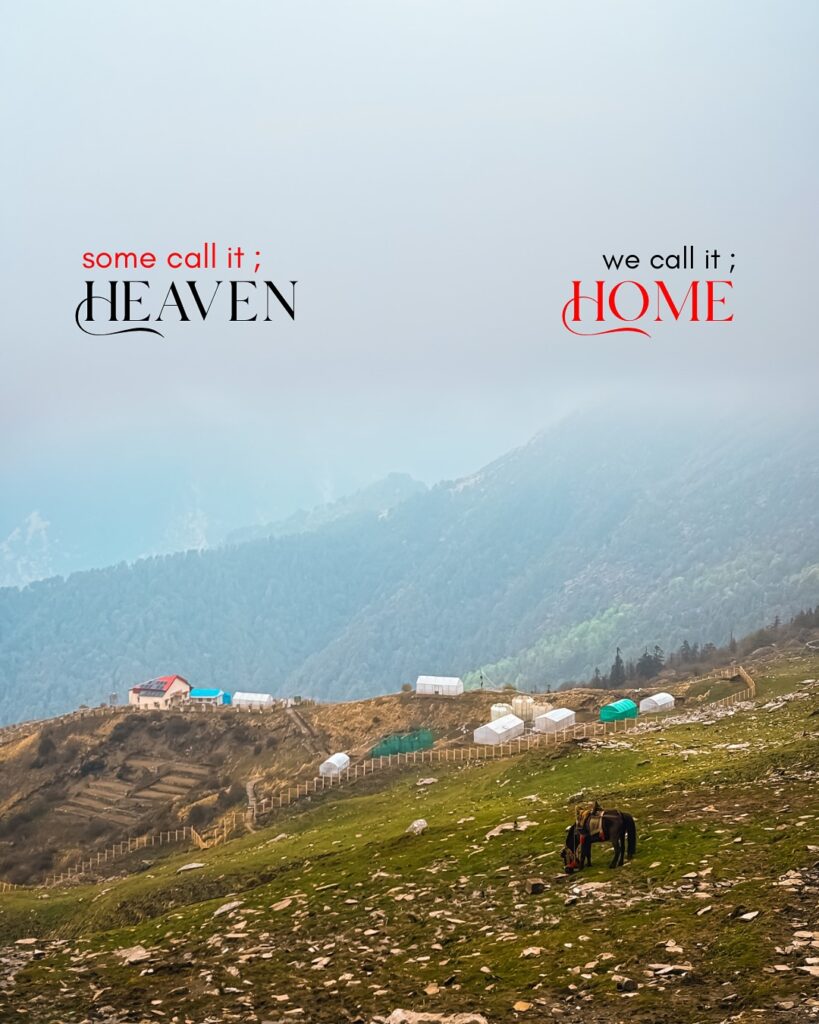 chopta tour package