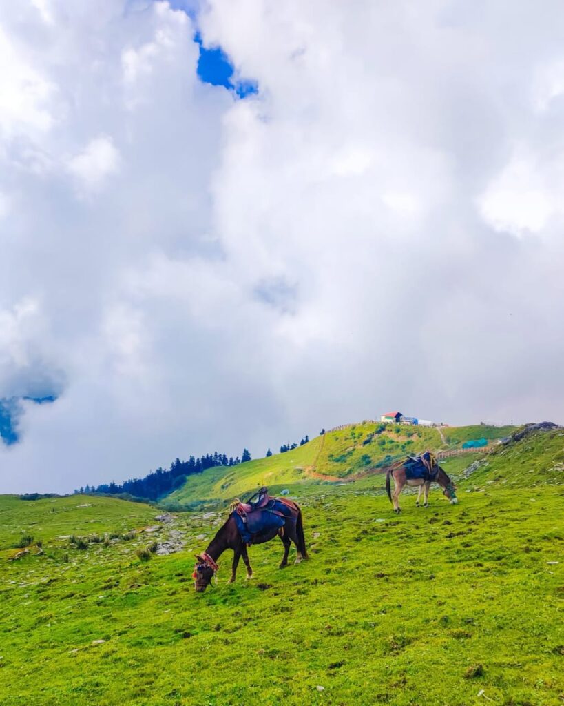 chopta tour package