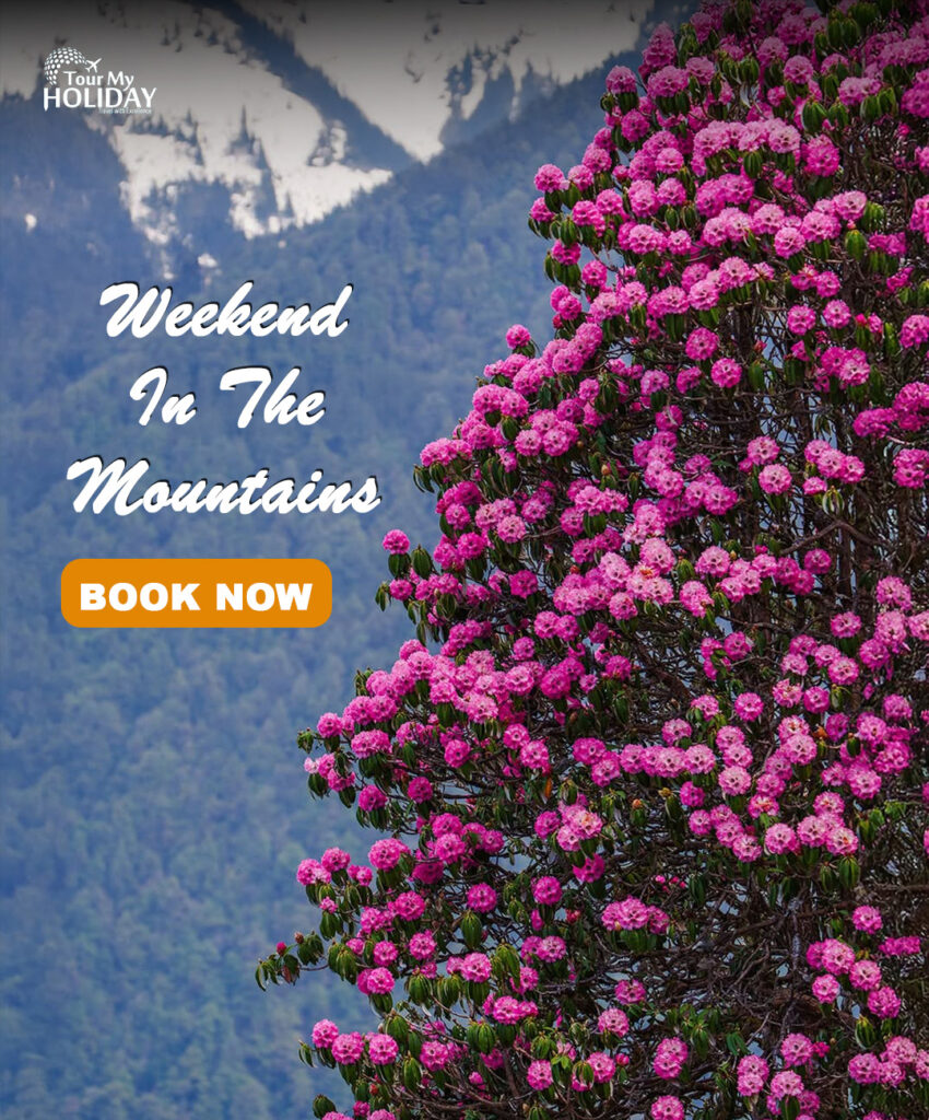 chopta tour package