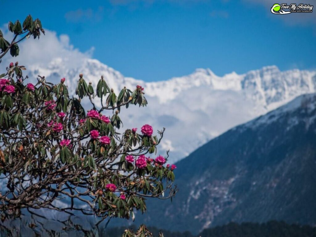 chopta tungnath trek