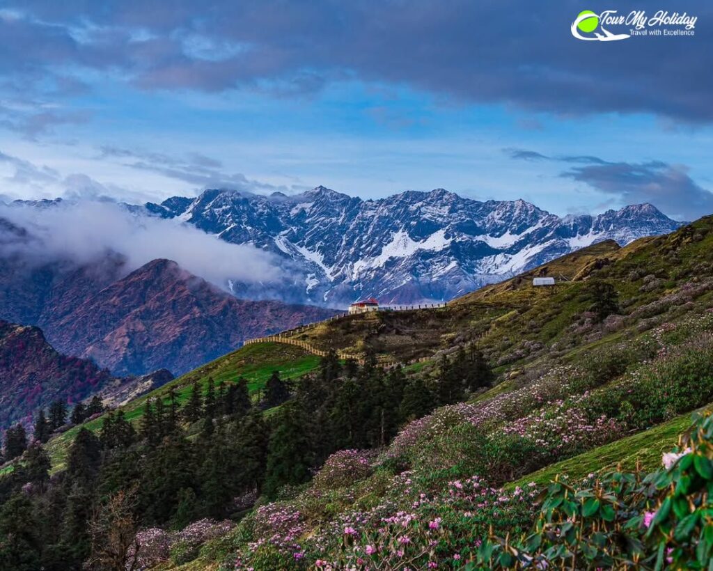 chopta tour package from delhi
