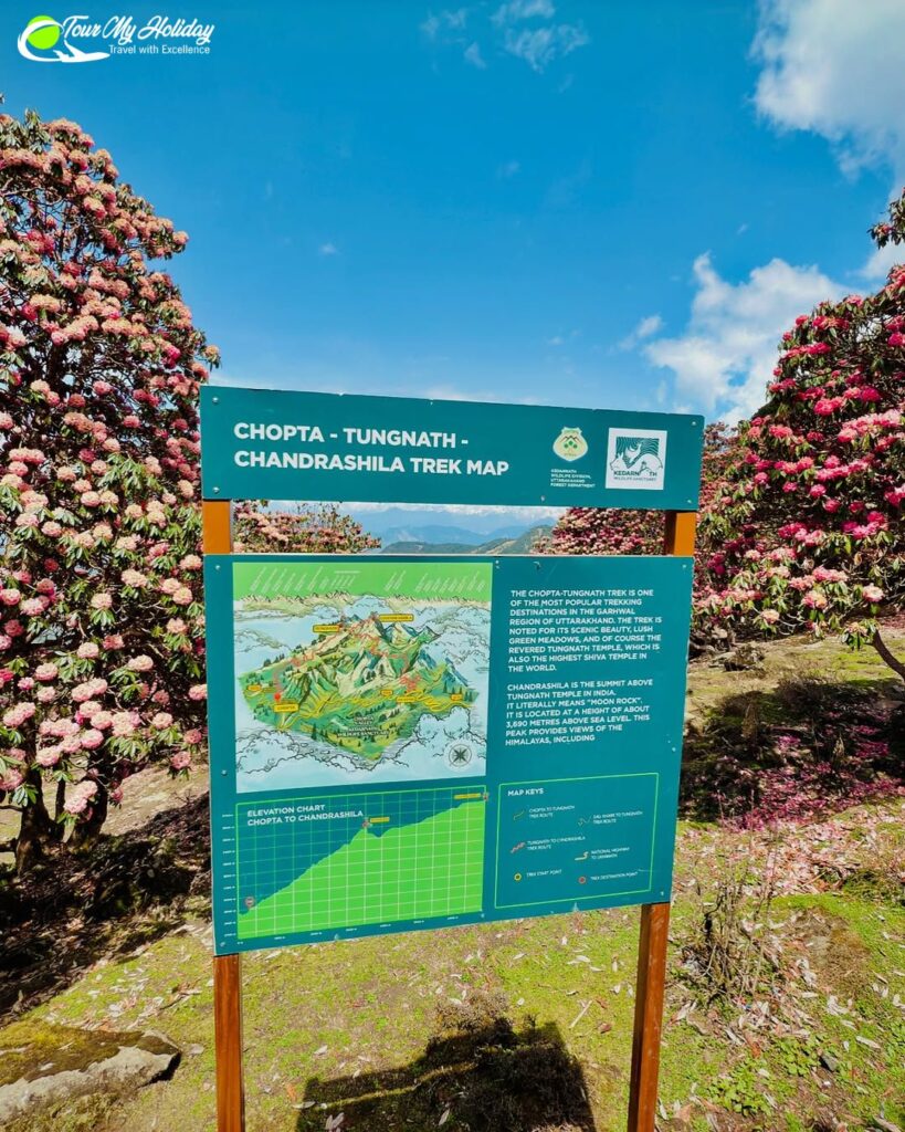 chopta tour package