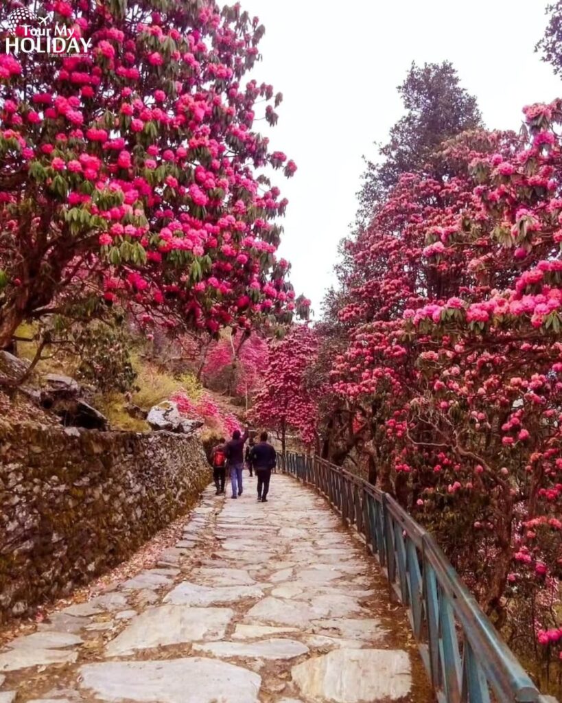 chopta chandrashila trek from delhi