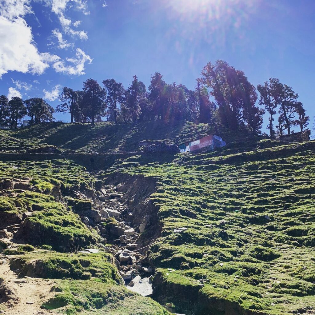 chopta tour package