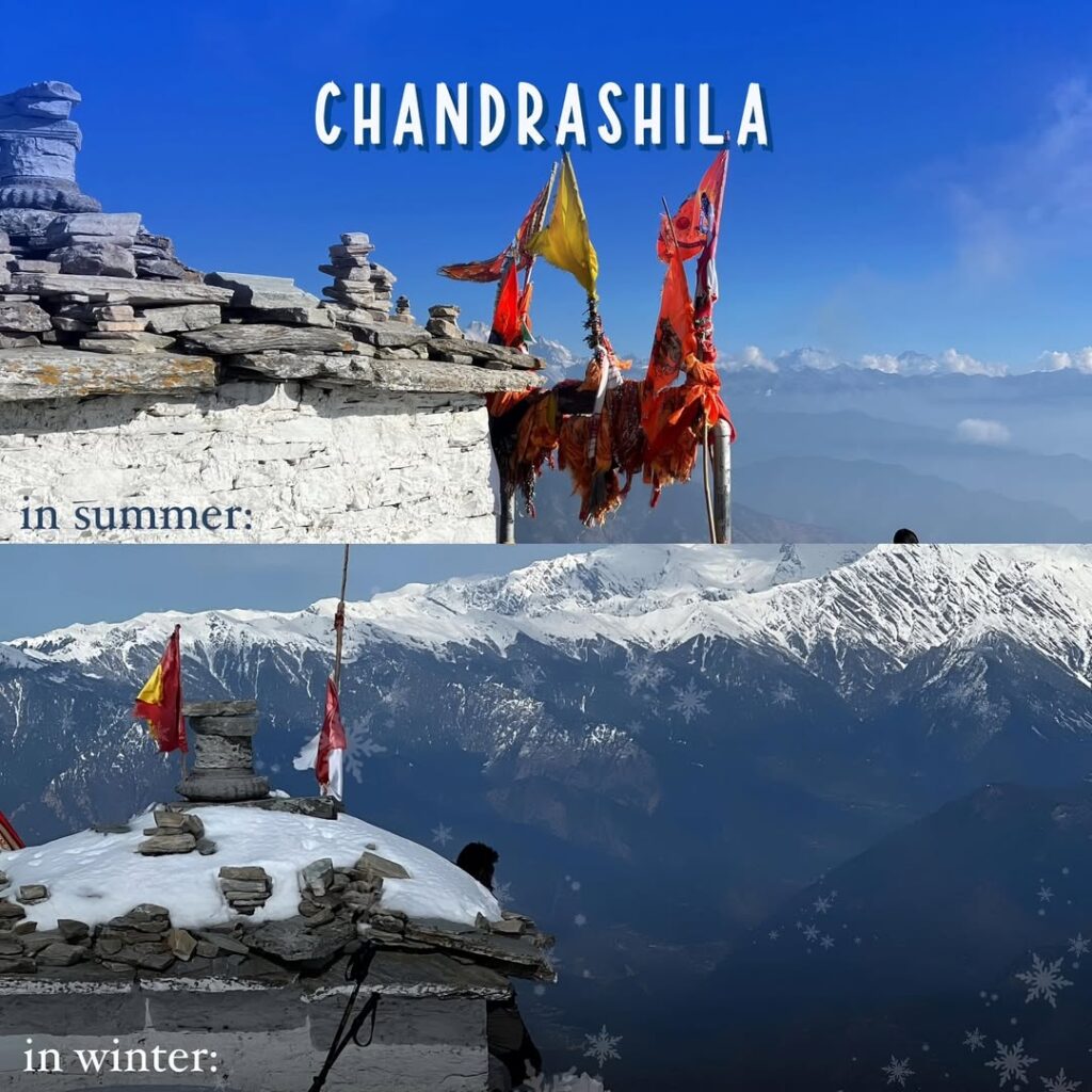 chopta tour package