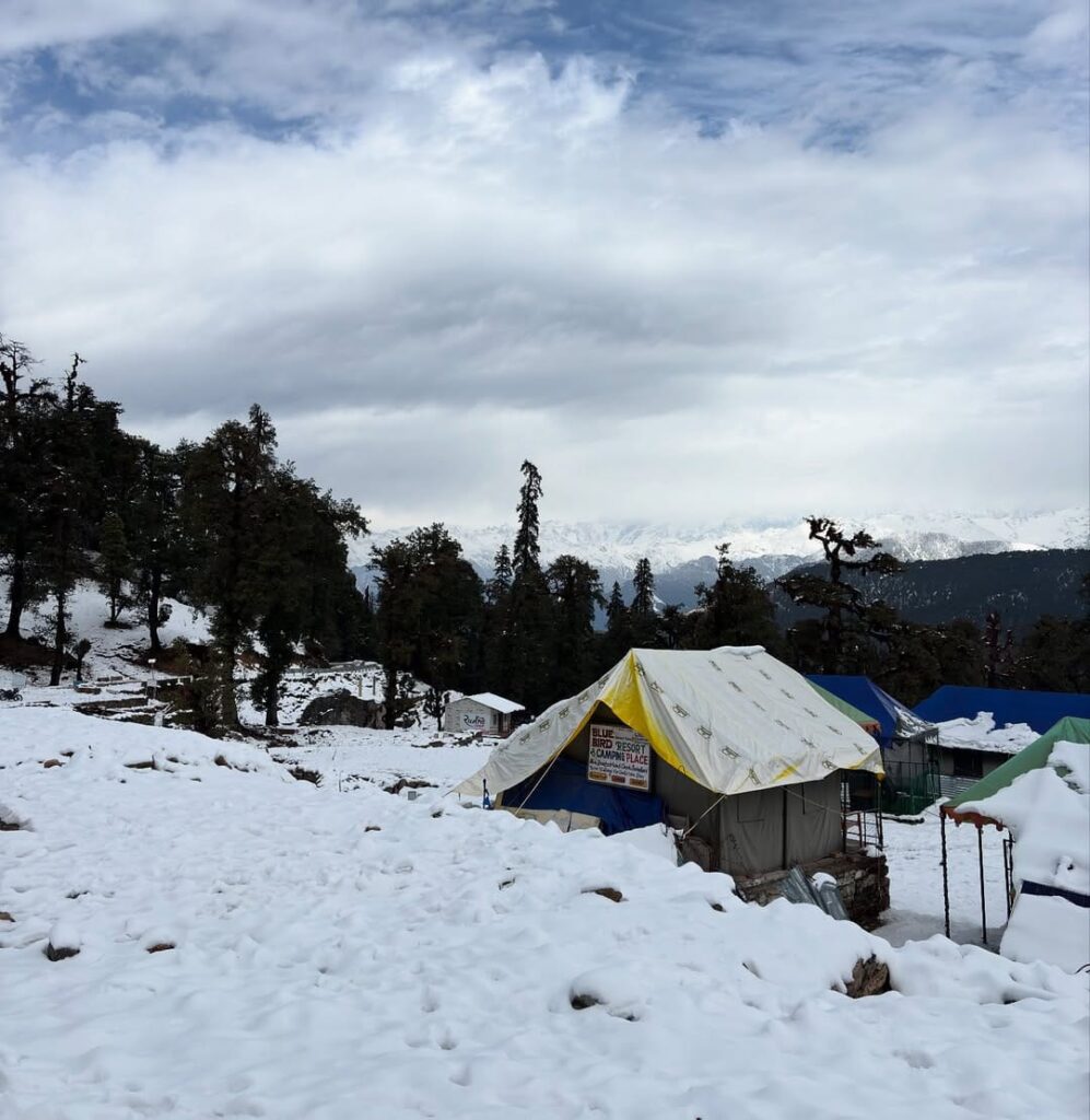 chopta tour package