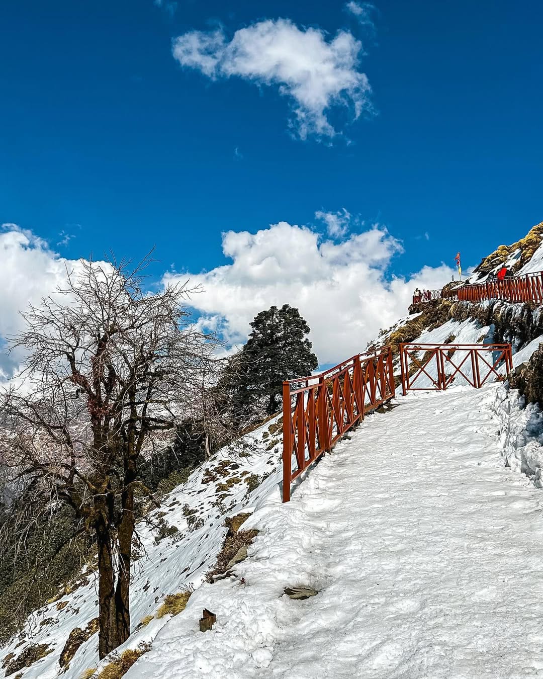 chopta tour package