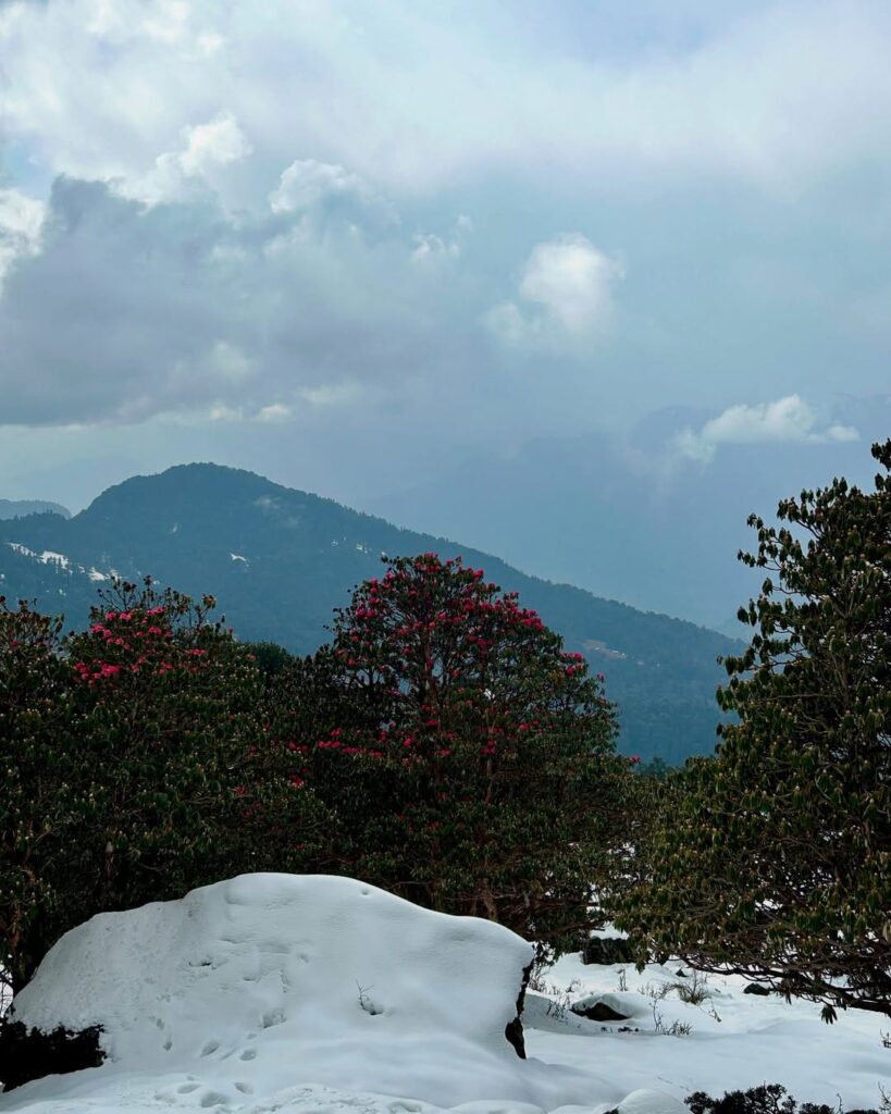 chopta tour package