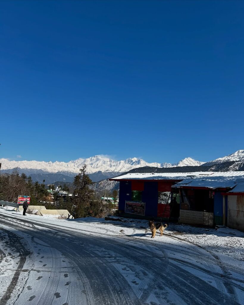 chopta tour package