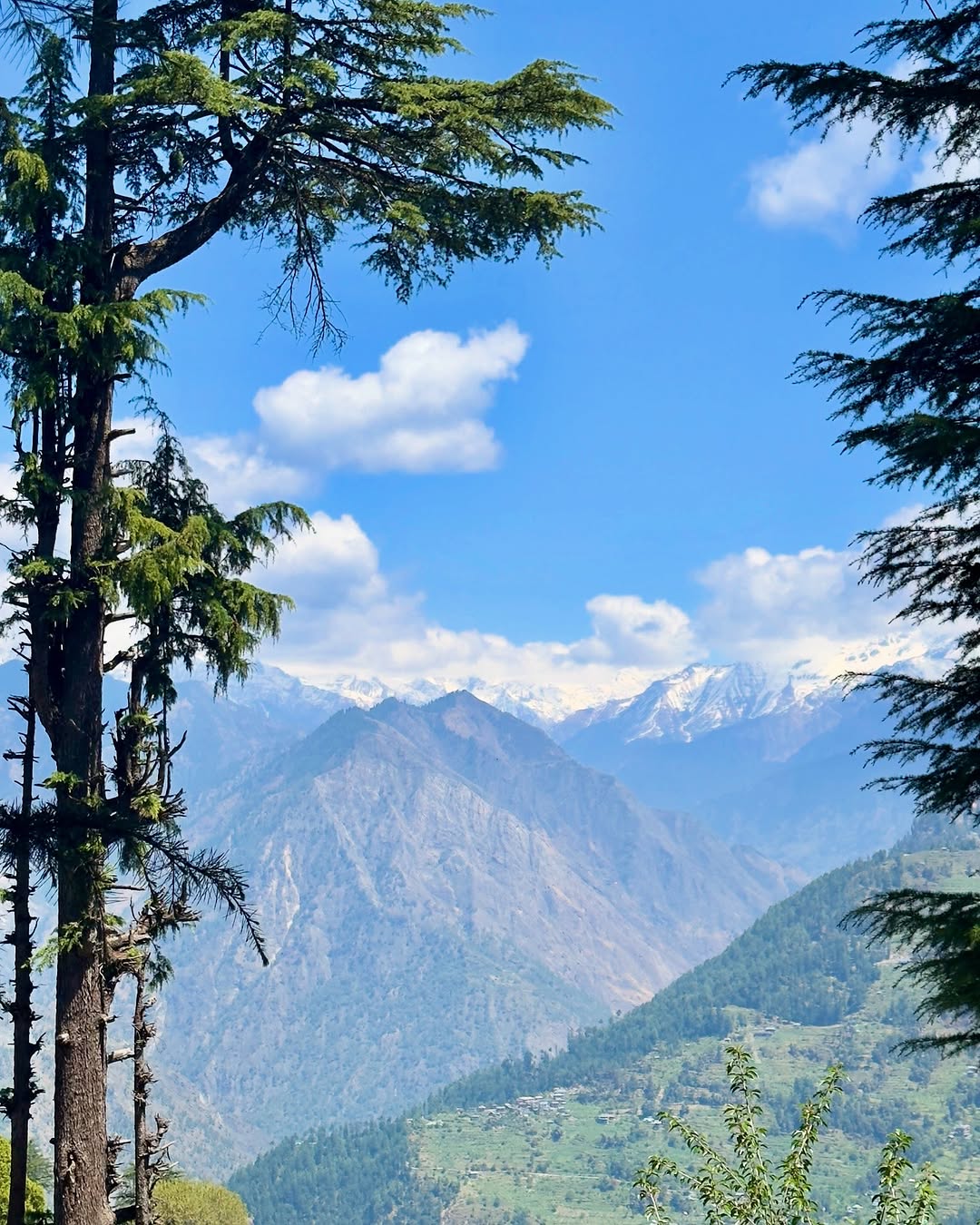jibhi tour package